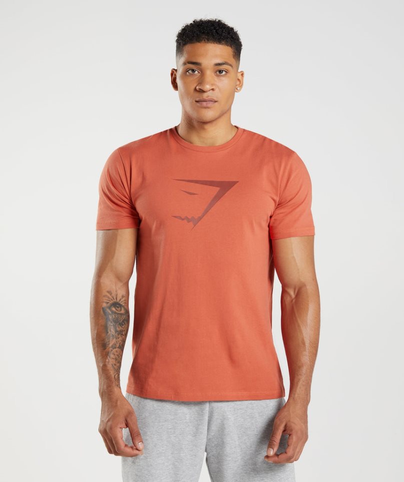 Men\'s Gymshark Sharkhead Infill T-Shirts Orange | CA 7A8013